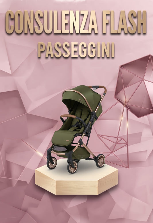 CONSULENZA FLASH - PASSEGGINO LEGGERO