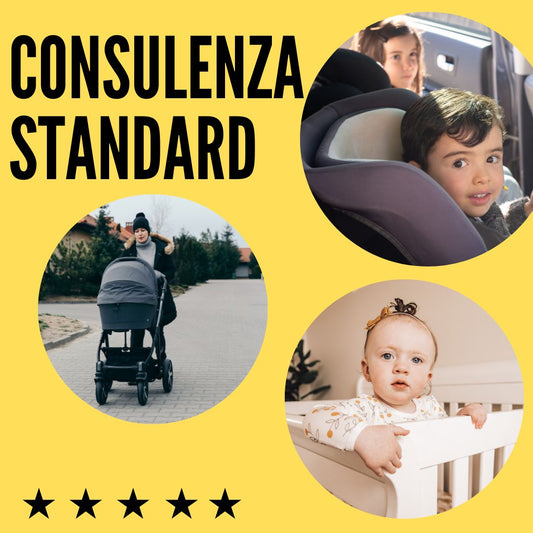 CONSULENZA STANDARD (SICUREZZA INFANZIA)